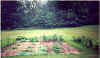 Garden '00.jpg (222516 bytes)