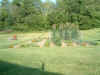 Garden 10 (7-31-04).JPG (324757 bytes)