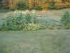 Garden 10 (8-6-06).JPG (326403 bytes)