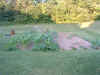 Garden 5 (7-4-06).JPG (322415 bytes)
