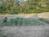 Garden 72102 2.jpg (444660 bytes)