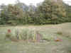 Garden 81502 1.jpg (443616 bytes)